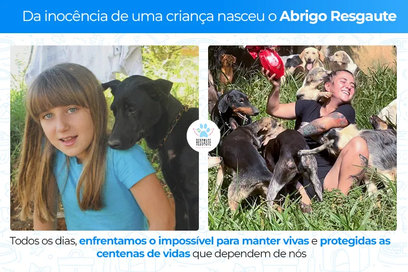 Salve o Abrigo